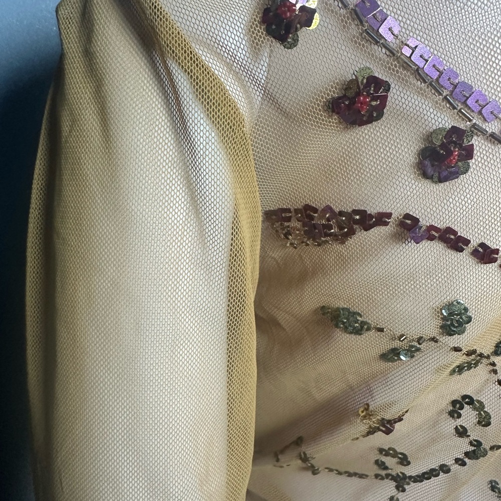 Cordelia Beaded Sheer Beige Blouse Crop Top S Tied New $138 - Picture 3 of 7